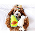 Avocado Dog Toy G8252