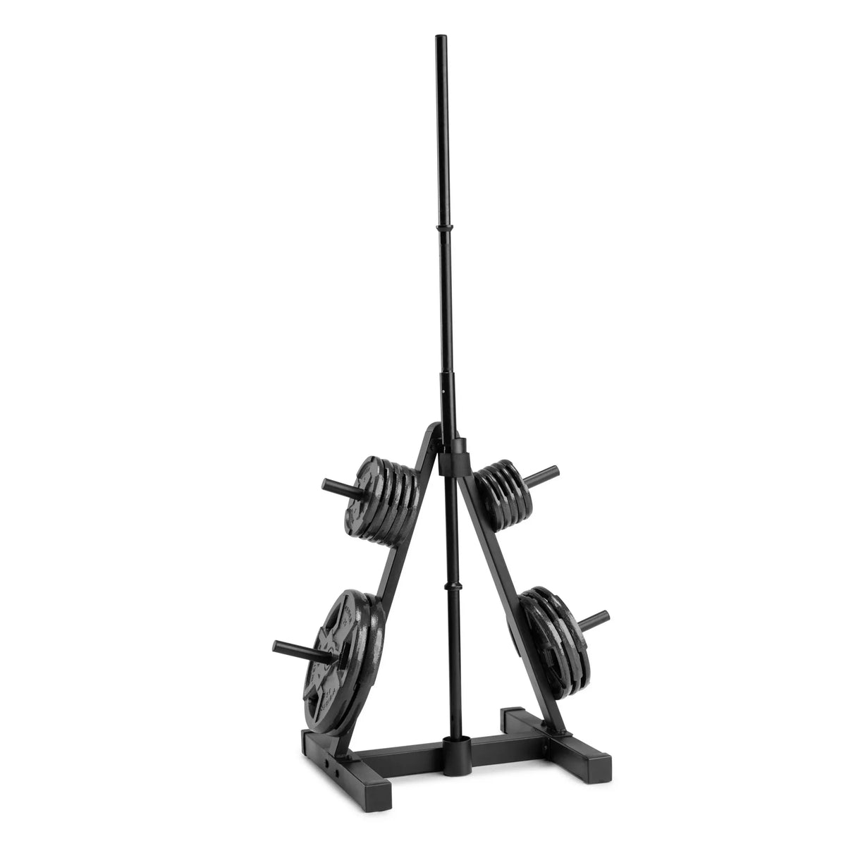 Weight Plate Tree Rack B9574