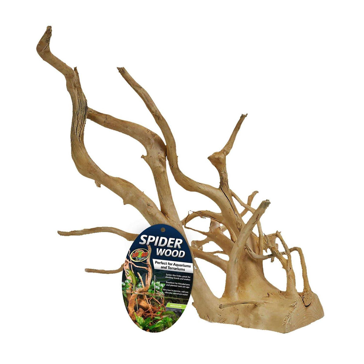 Spider Wood G274