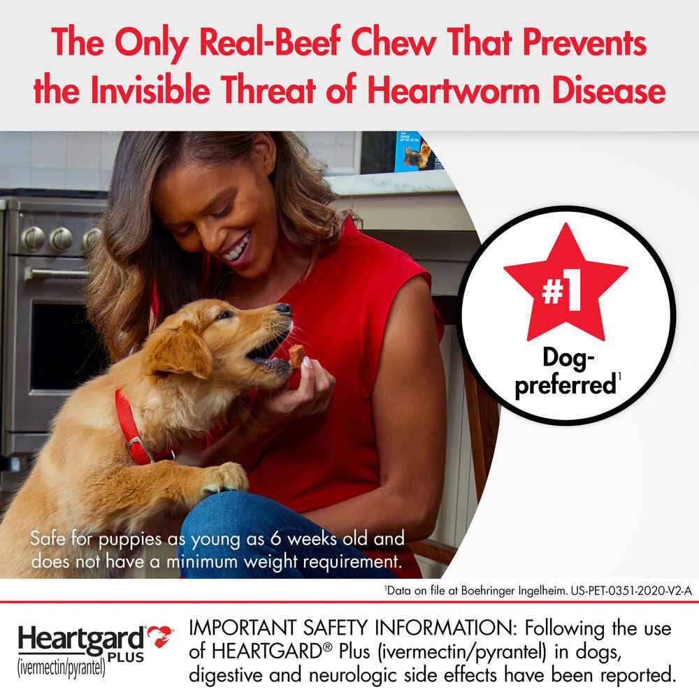Chewables for Dogs T4207