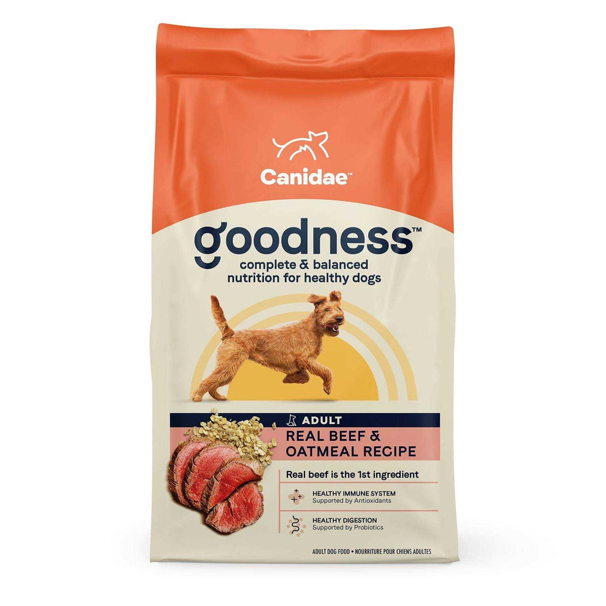 Adult Dry Dog Food Beef and Oatmeal T563