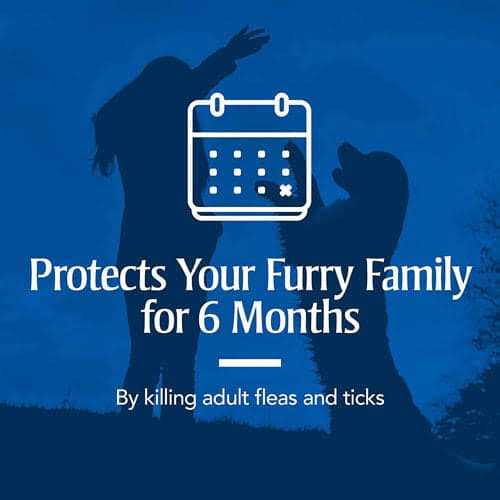 Flea & Tick Collar for Dogs X769522