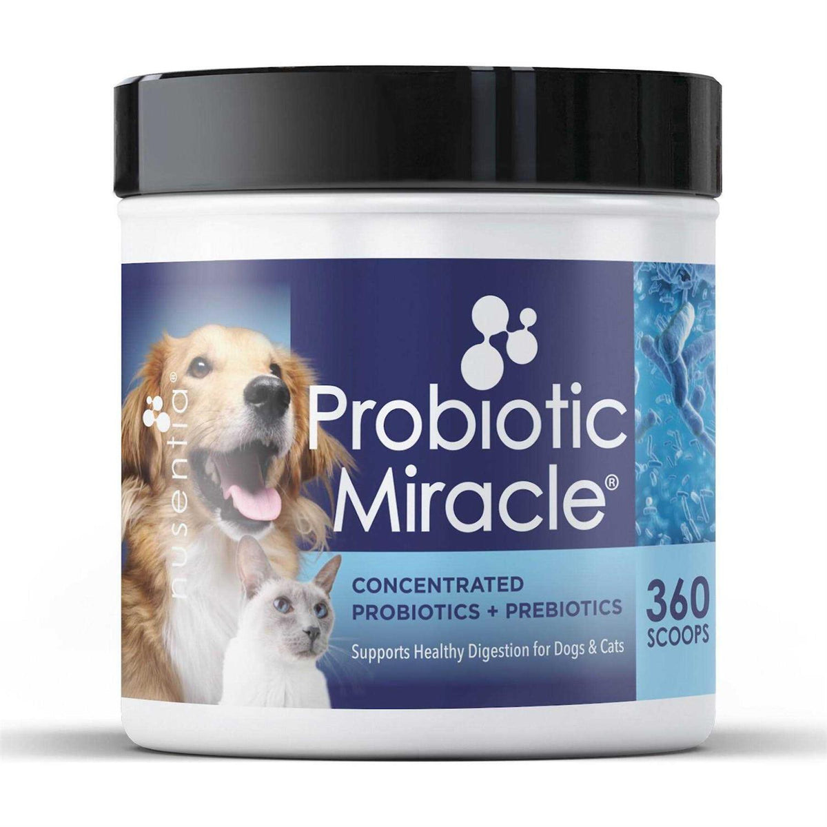 Probiotics for Dogs I365031