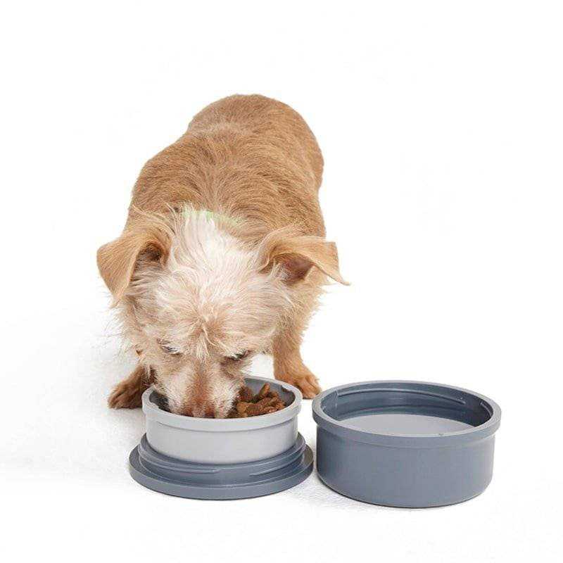 Portable 2pc Dog Bowl Set L523