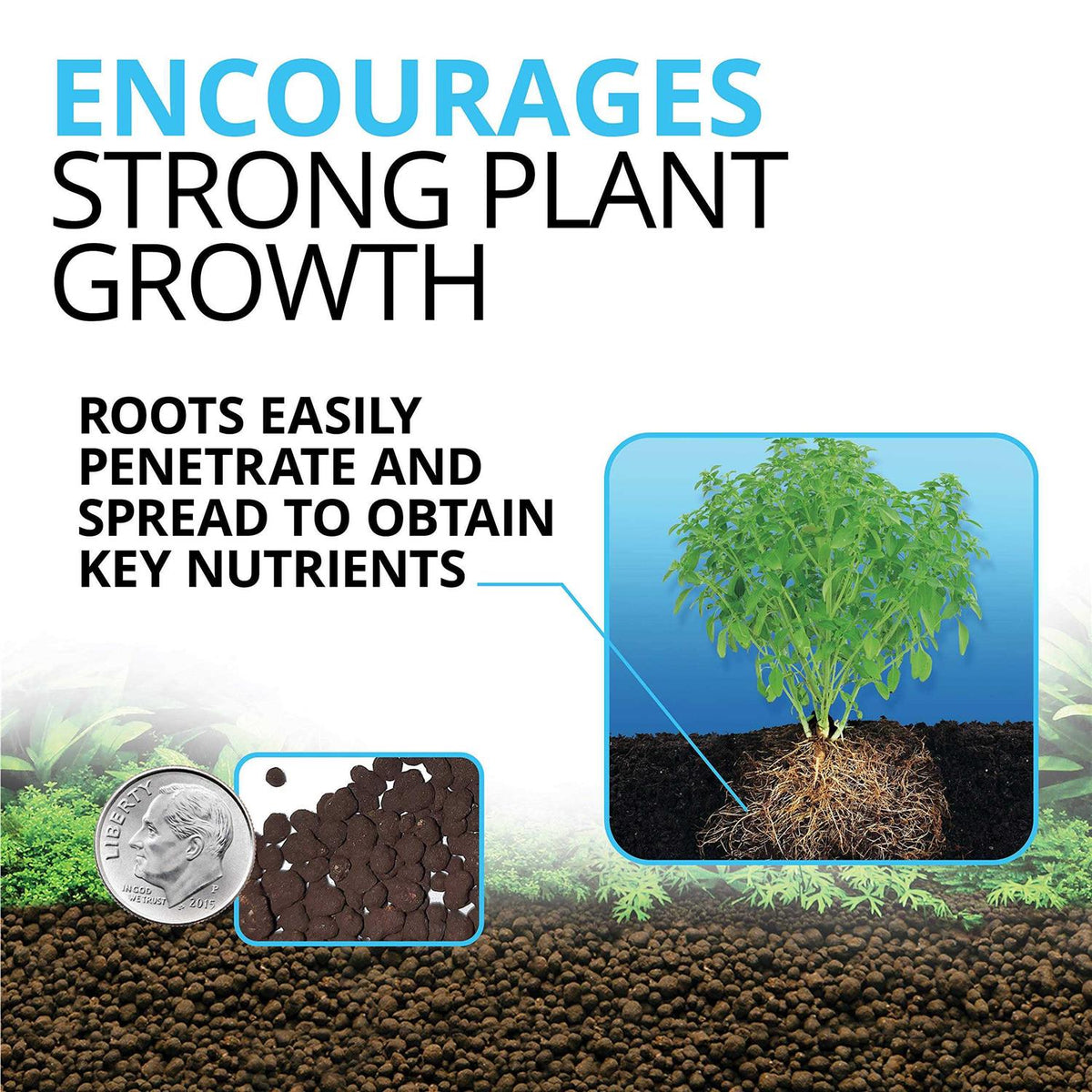 Plant and Shrimp Stratum G2252