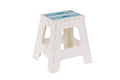 Folding Step Stool R6681