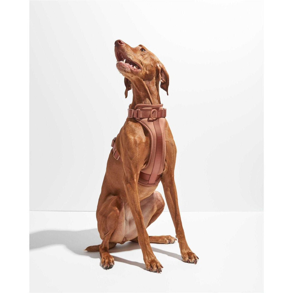 Dog Harness L5986