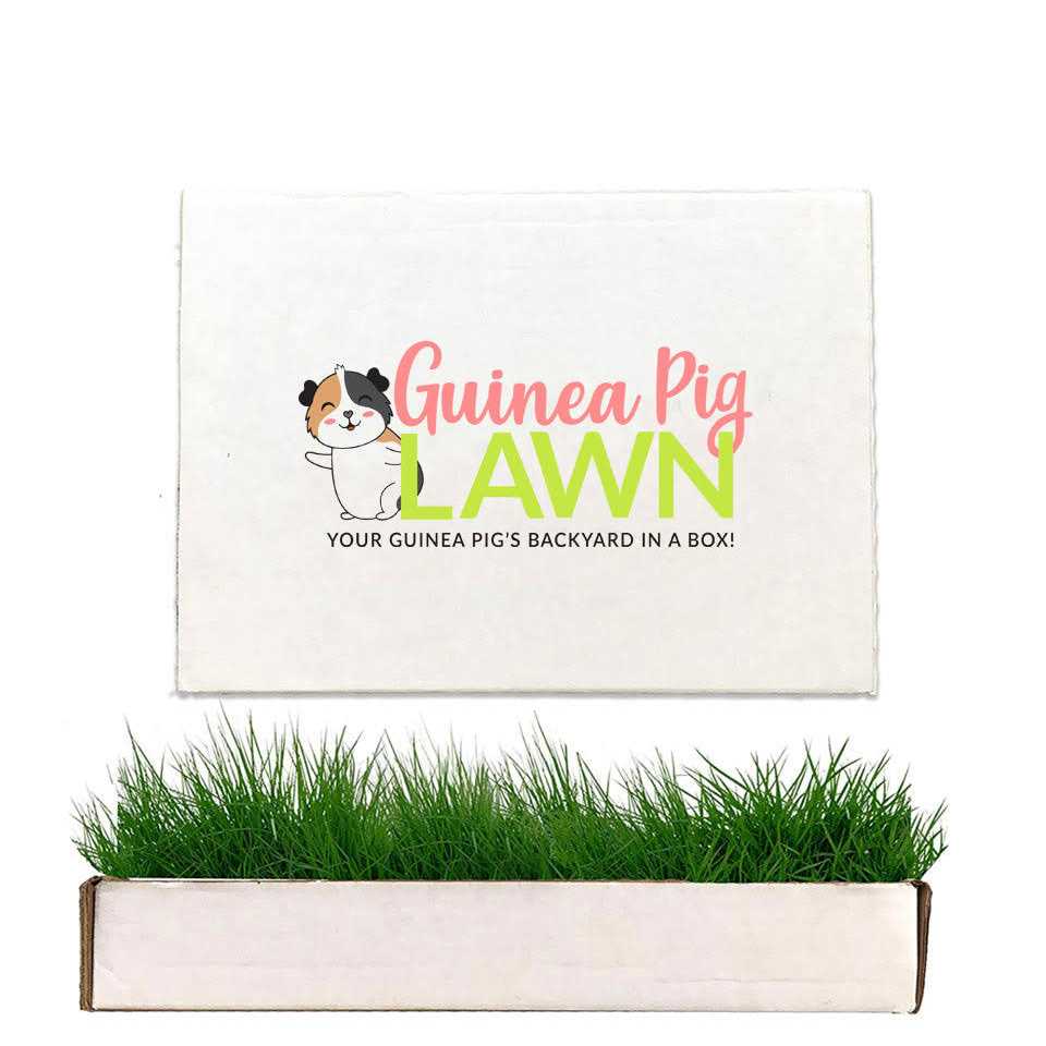 Guinea Pig Lawn J61994