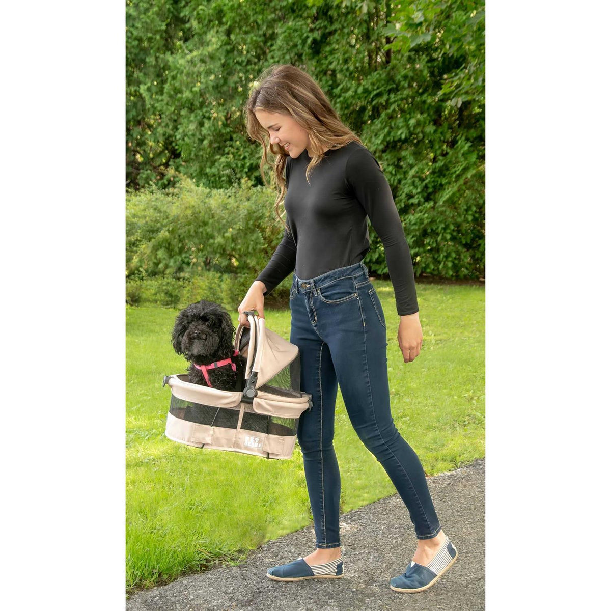 Pet Carrier C91447