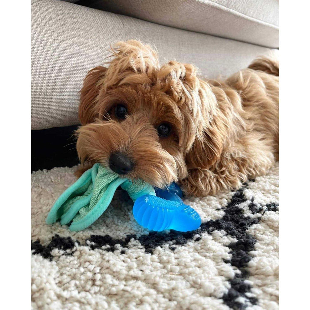 Peanut Butter Chew Puppy Toy B2193