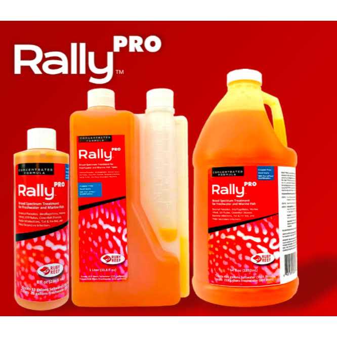 Ruby Reef Rally Pro O35500