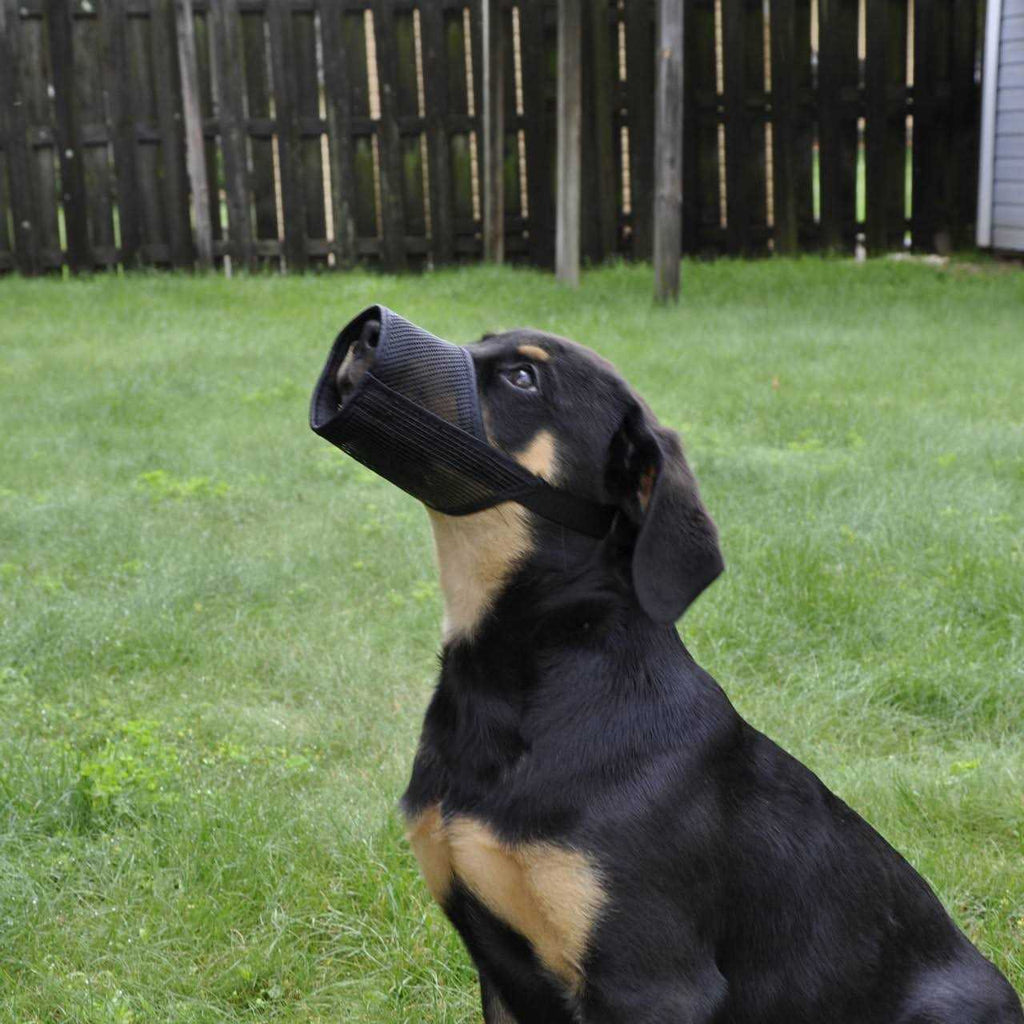 Muzzle R873907