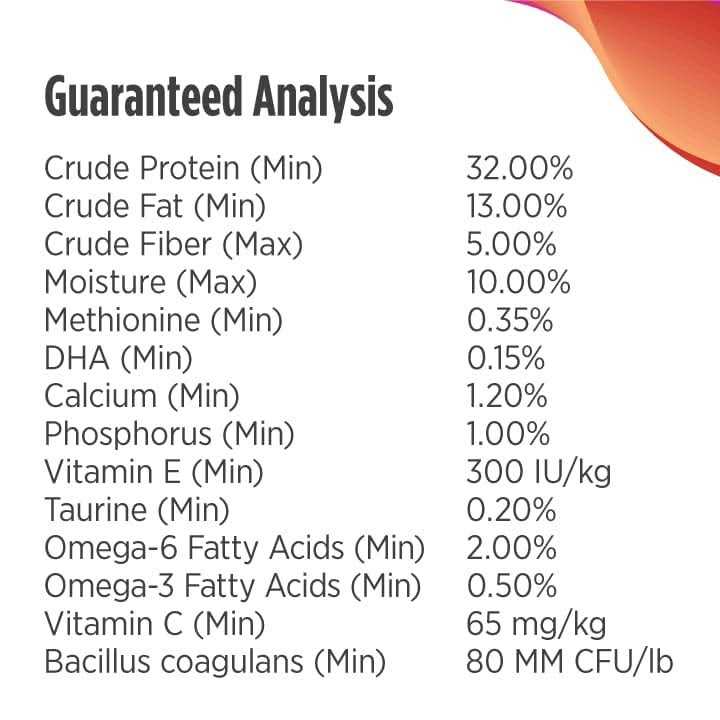 Grain Free Dry Puppy Food Y41903