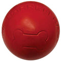 Ball Dog Toy B4856