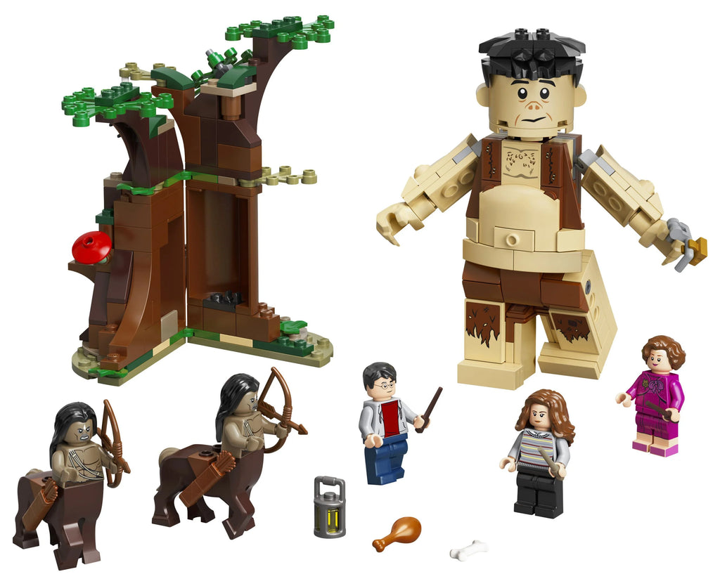 Harry Potter Building Toy with Minifigures 253 Pieces V421
