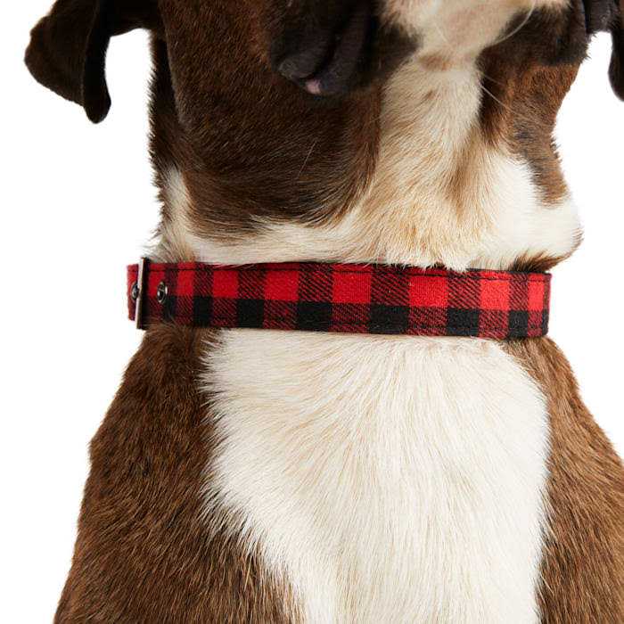 Buffalo Checkered Dog Collar Z81524