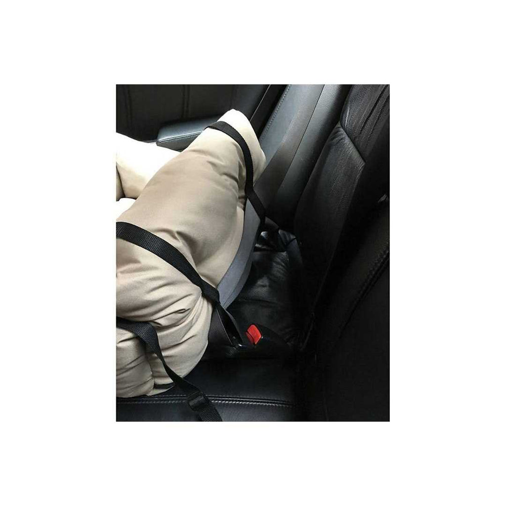 Travel Pet Bed Q26877